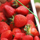 Illustration for article titled We will never be able to afford to retire if our kids keep eating berries